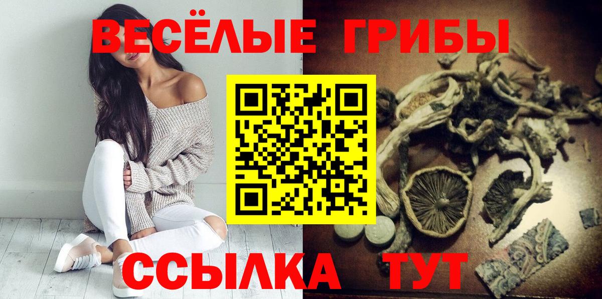 Псилоцибиновые грибы Cubensis Псков